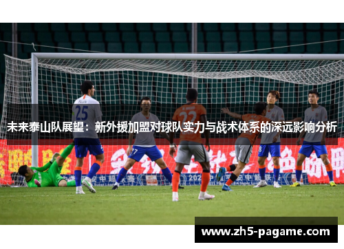未来泰山队展望：新外援加盟对球队实力与战术体系的深远影响分析