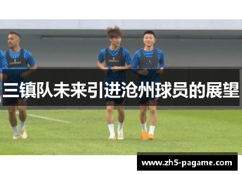 三镇队未来引进沧州球员的展望
