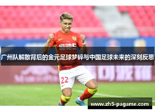 广州队解散背后的金元足球梦碎与中国足球未来的深刻反思