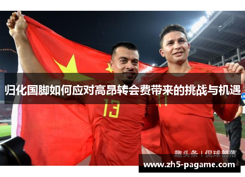 归化国脚如何应对高昂转会费带来的挑战与机遇