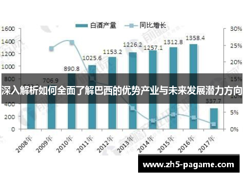深入解析如何全面了解巴西的优势产业与未来发展潜力方向