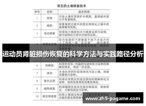 运动员肾脏损伤恢复的科学方法与实践路径分析