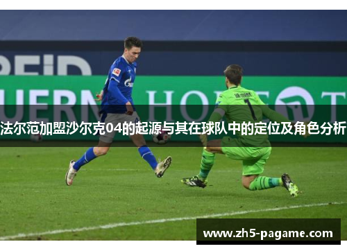 法尔范加盟沙尔克04的起源与其在球队中的定位及角色分析