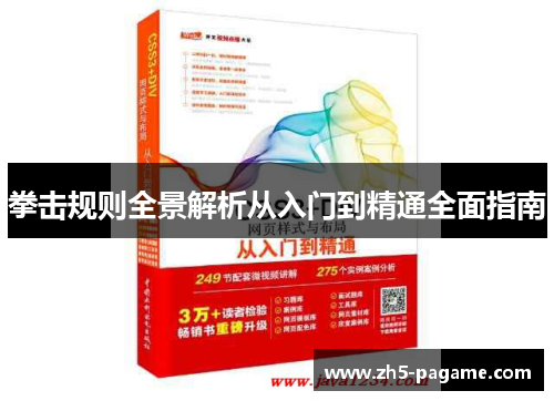 拳击规则全景解析从入门到精通全面指南 拳击规则全景解析从入门到精通全面指南