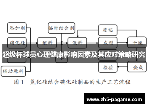 超级杯球员心理健康影响因素及其应对策略研究