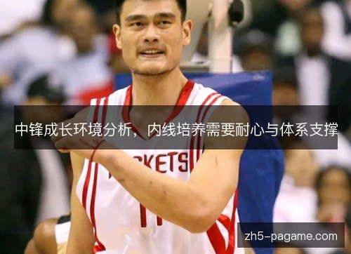 中锋成长环境分析，内线培养需要耐心与体系支撑